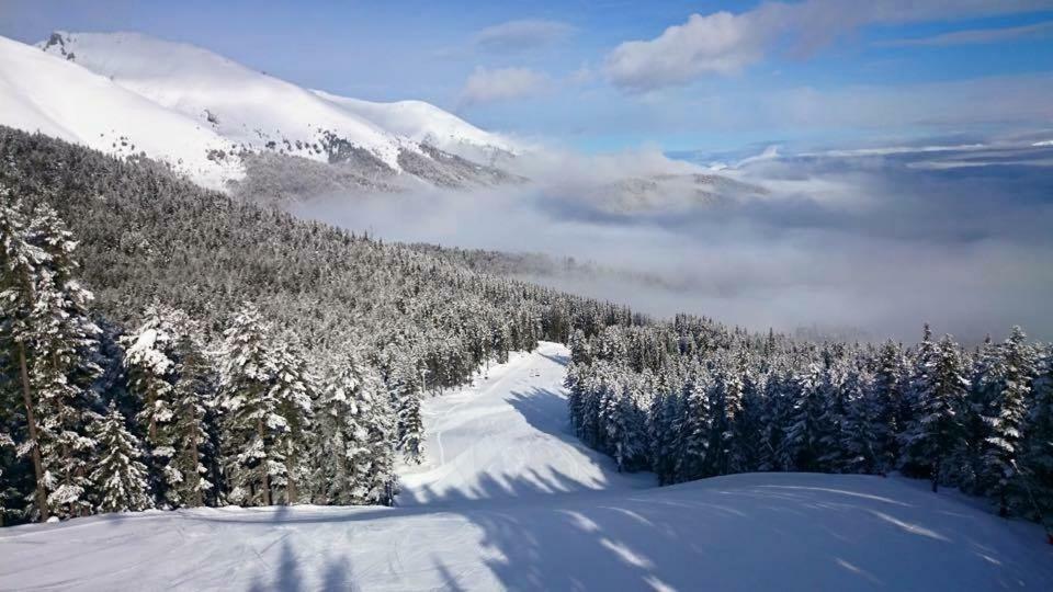 Fortuna Luxury Apartment Bansko Ngoại thất bức ảnh