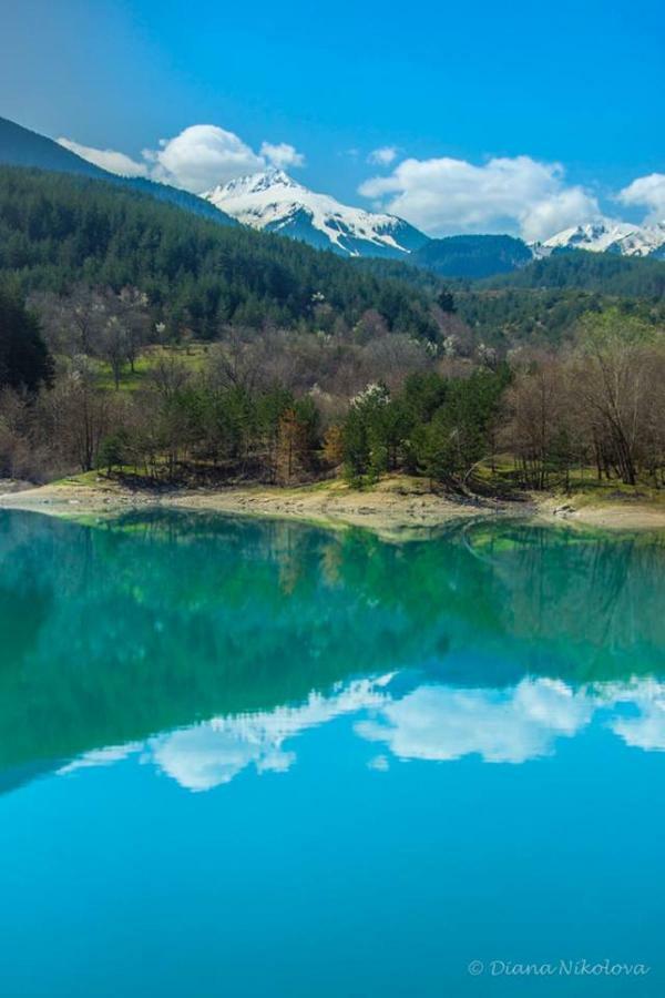 Fortuna Luxury Apartment Bansko Ngoại thất bức ảnh