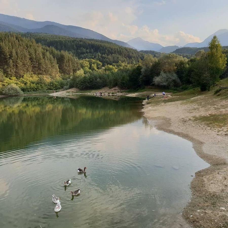 Fortuna Luxury Apartment Bansko Ngoại thất bức ảnh